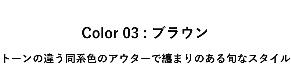 Color 03 ブラウン タイトル