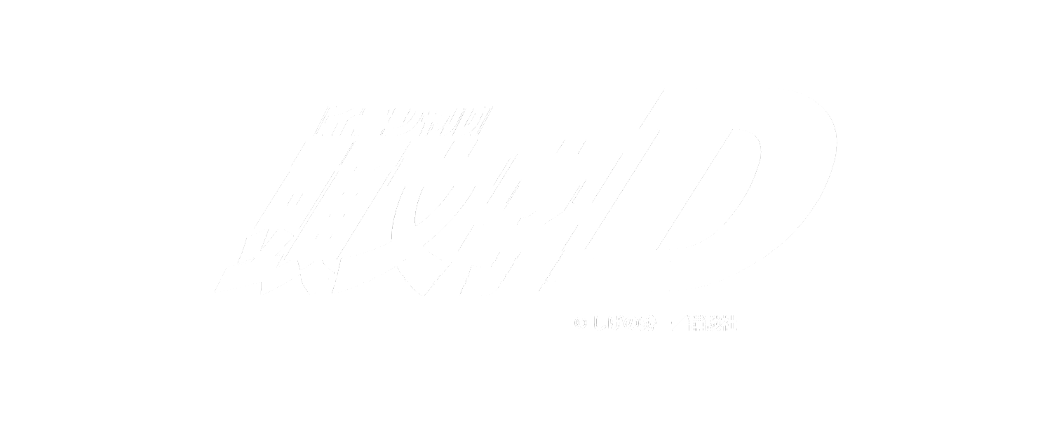 頭文字D 別注コレクション